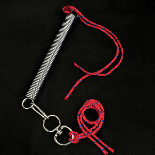 BESTIA DOG SPORT Training Spring Set