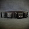 BESTIA DOG SPORT Weighted Dog Training Collar