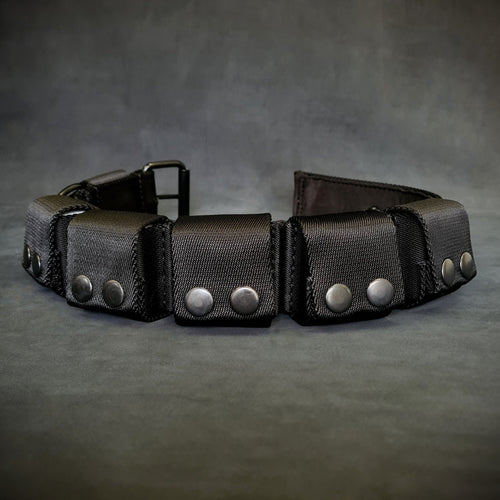 BESTIA DOG SPORT Weighted Dog Training Collar