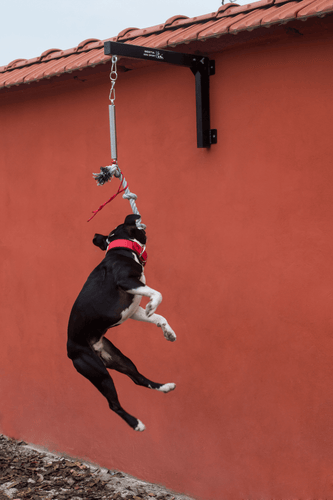 BESTIA Spring Pole  exercise tool