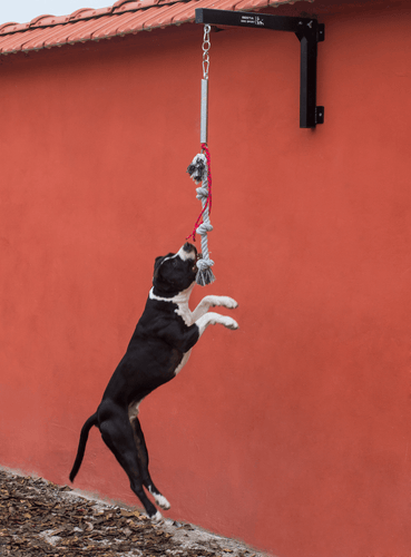 BESTIA Spring Pole  exercise tool
