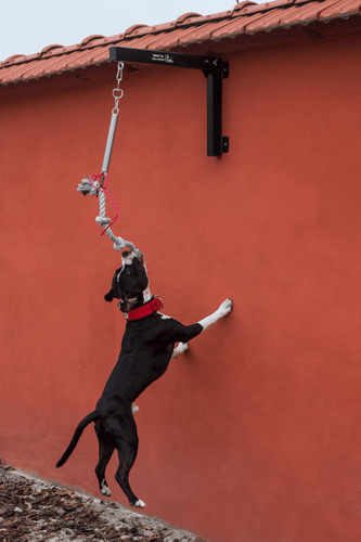 BESTIA Spring Pole  exercise tool