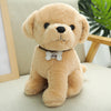 Nari Doll Ragdoll Children's Birthday Gift