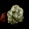 Bi- Color Apophyllite Pseudo Crystals Natural Mineral Specimen  # B 5225