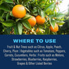BioAdvanced® Fruit, Citrus & Vegetable Insect Control, Concentrate (32 oz.)