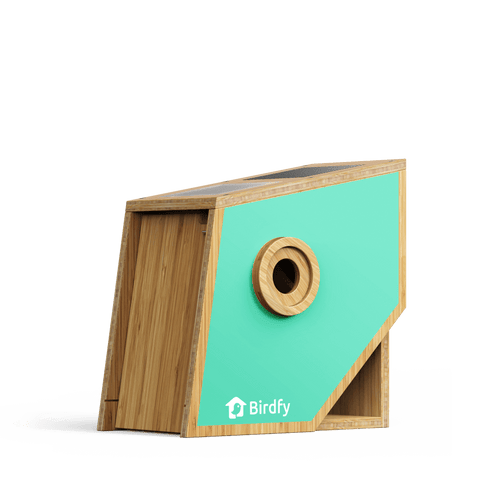 Birdfy Nest Polygon - Smart Birdhouse with Camera