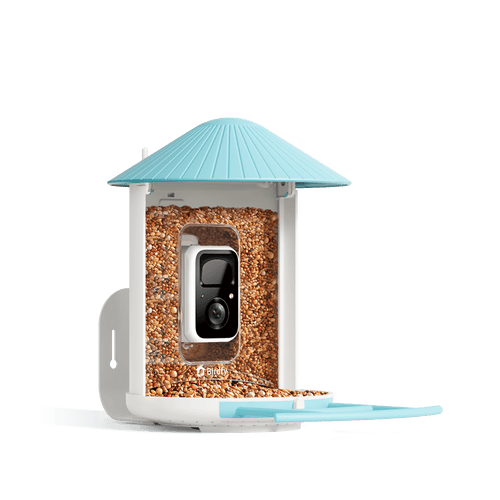 Birdfy Feeder - Smart Bird Feeder with Camera Standard Kit