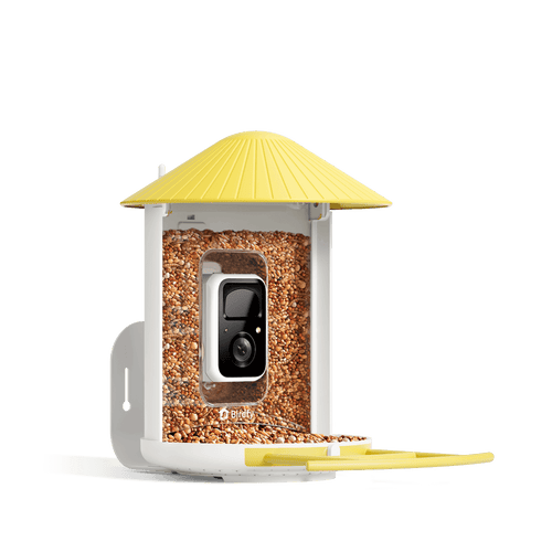 Birdfy Feeder - Smart Bird Feeder with Camera Standard Kit
