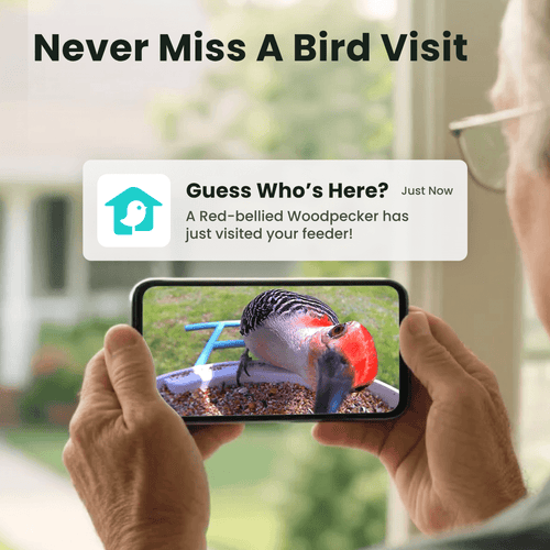 Birdfy Feeder - Smart Bird Feeder with Camera Standard Kit