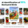 Birdfy Smart Feeder -  Limited Father's Day Gift Set