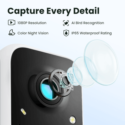 Birdfy Smart Feeder -  Limited Father's Day Gift Set