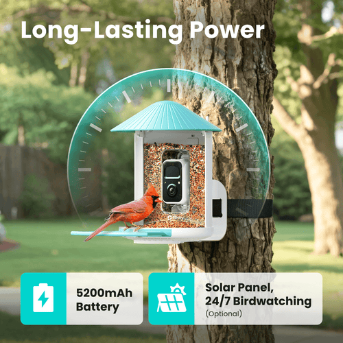 Birdfy Smart Feeder -  Limited Father's Day Gift Set