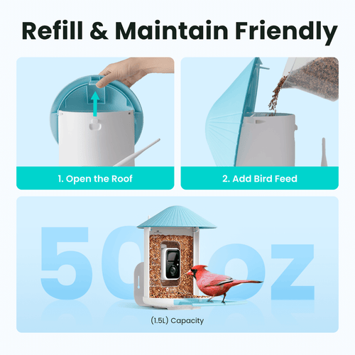 Birdfy Smart Feeder -  Limited Father's Day Gift Set