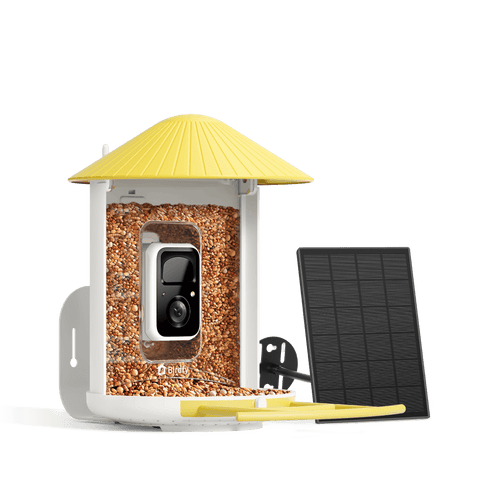Birdfy Feeder - AI-Powered Smart Bird Feeder with Camera-Yellow