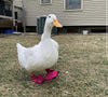 Birdy Bootie (Made in USA)