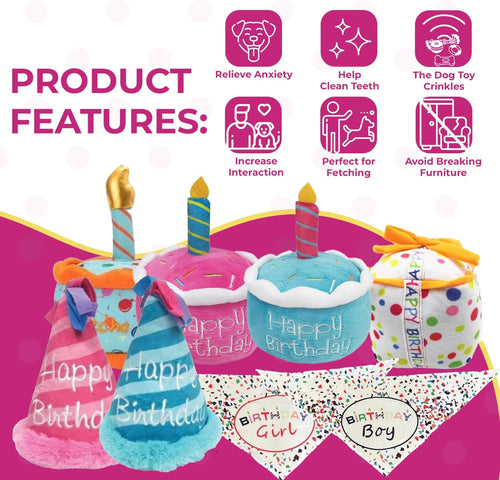 Blue Birthday Hat Squeaky Dog Toy - Glow Pups