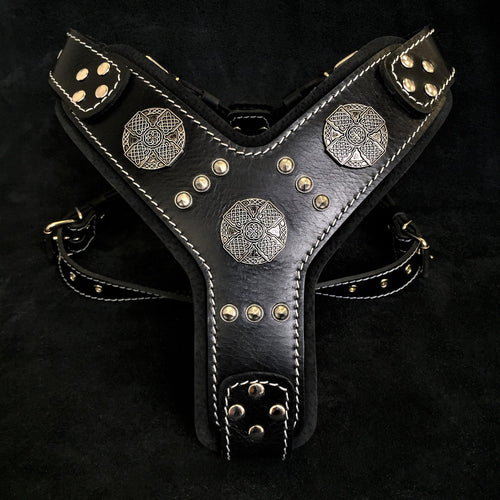The Maximus silver harness