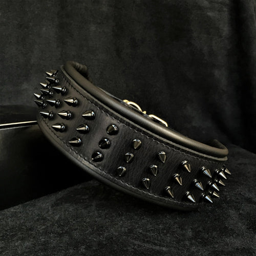 ''Black Giant'' collar Classic