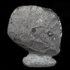 Black Sparkling Chalcedony Geode Natural Mineral Specimen  # B 4629