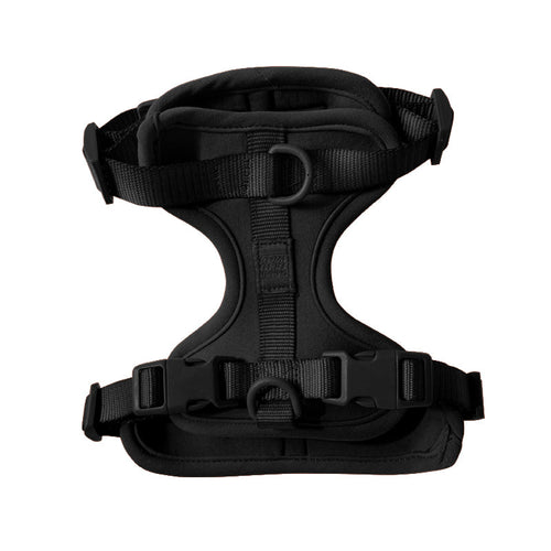 Harness