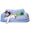 Luxury Light Blue Striped Sofa Dog Bed - Glow Pups