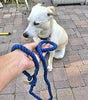 Blue Boho Chic Style Dog Leash - Glow Pups