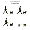 Body Glove Beach Walk Handsfree Pet Leash