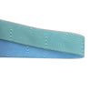 Body Glove Beach Walk Handsfree Pet Leash