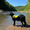 Body Glove Ripstop Pet Life Jacket