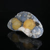 Botryoidal Fluorite on MM Quartz Rare Natural Mineral Specimen # B 7005