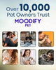 MoodifyPet Cat Litter Box Odor Neutralizer — 3 Pack (Multi-Cat)