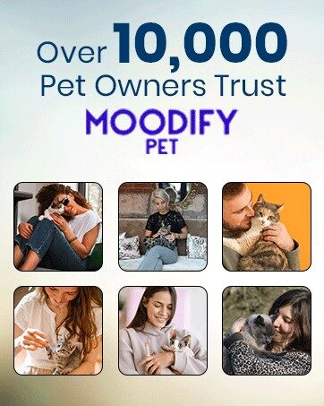 MoodifyPet Odin Special Edition Cat Litter Odor Neutralizer — 2 Pack