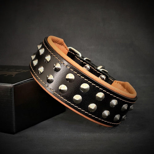 Boston collar
