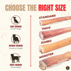12 Inch Thick Bully Stick