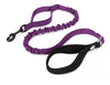 TrueLove Durable Bungee Dog Leash TLL2281