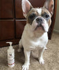 Hydrating Butter - For Dog's Skin & Coat - Leave-In Moisturizer