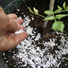 Quail PlantShellz - The Natural Nourishment for Your House Plants
