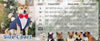 Dog Tuxedo Suit with Bow Tie – Wedding & Formal Outfit