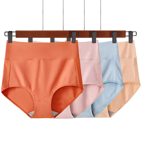 High Waist Briefs Plus Size Fat