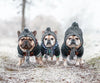 Autumn Winter Warm Knitted Pet Hats With Fluffy Ball
