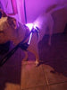 LED Dog Harness