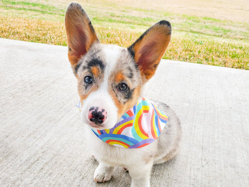 “Mustard Floral” Dog Bandana
