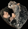 Top-Notch Gemmy Champagne Calcite with Stilbite on Black Chalcedony | Indian Zeolite Specimen – Jalgaon DK86