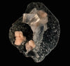Top-Notch Gemmy Champagne Calcite with Stilbite on Black Chalcedony | Indian Zeolite Specimen – Jalgaon DK86