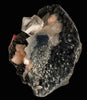 Top-Notch Gemmy Champagne Calcite with Stilbite on Black Chalcedony | Indian Zeolite Specimen – Jalgaon DK86