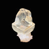 Gemmy Calcite Crystal – 360° Artistically Terminated Natural Mineral Specimen from Jalgaon, India DK96