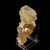 Calcite Golden Color with Stilbite Natural Mineral Specimen # B 6616