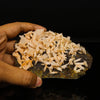 Calcite Rare New Find Natural Mineral Specimen # B 6760