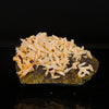 Calcite Rare New Find Natural Mineral Specimen # B 6760