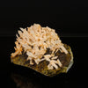 Calcite Rare New Find Natural Mineral Specimen # B 6760